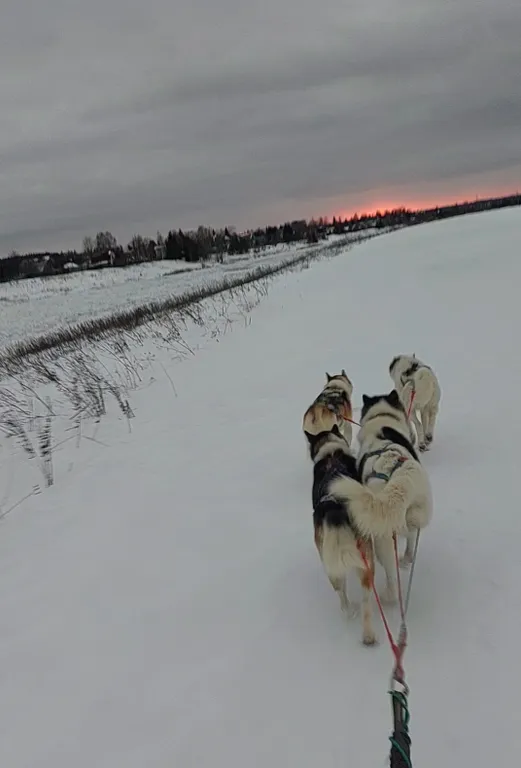 Домик в лесу