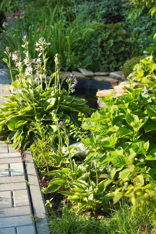 6-комнатный Дом