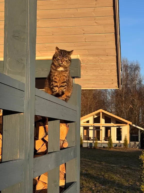 Коттедж Коттедж 1 Ленинградский Куршавель — Приозерск