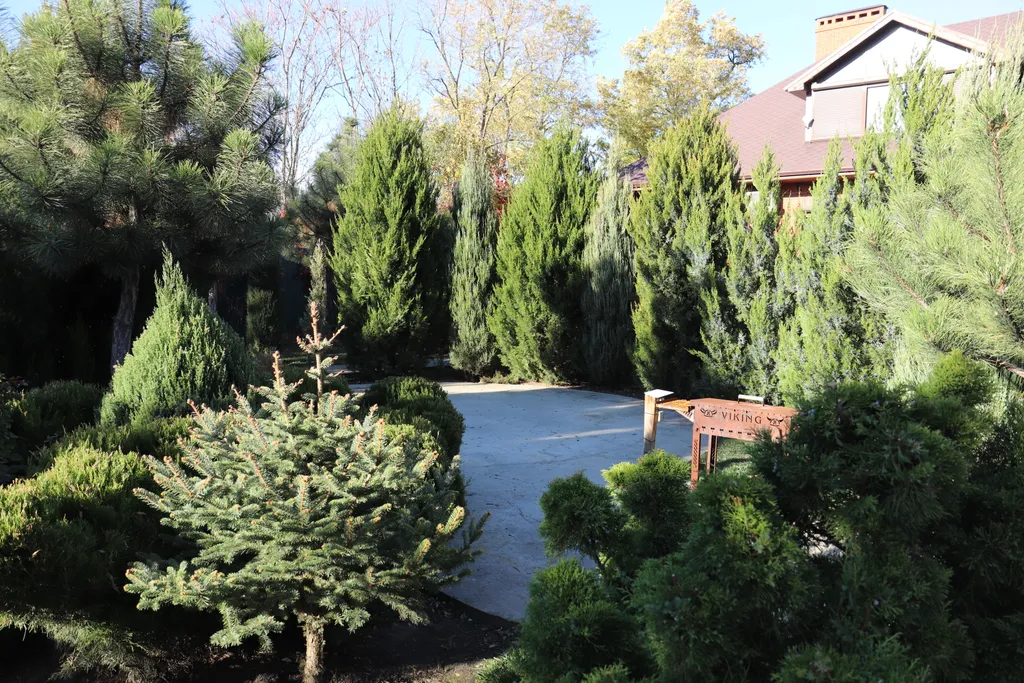 Загородный дом-шале "Pinebrook", аренда, у реки Дон. Сезонный бассейн.