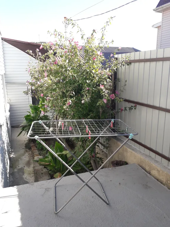 Целый дом с садом и двориком