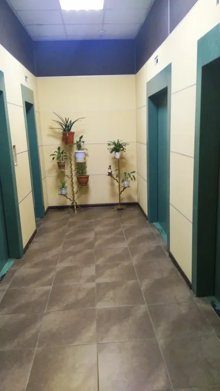 Светлая евродвушка у Крокус Экспо между метро Мякинино и Пенягино