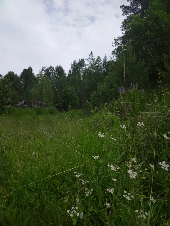 Уютный, благоустроенный дом