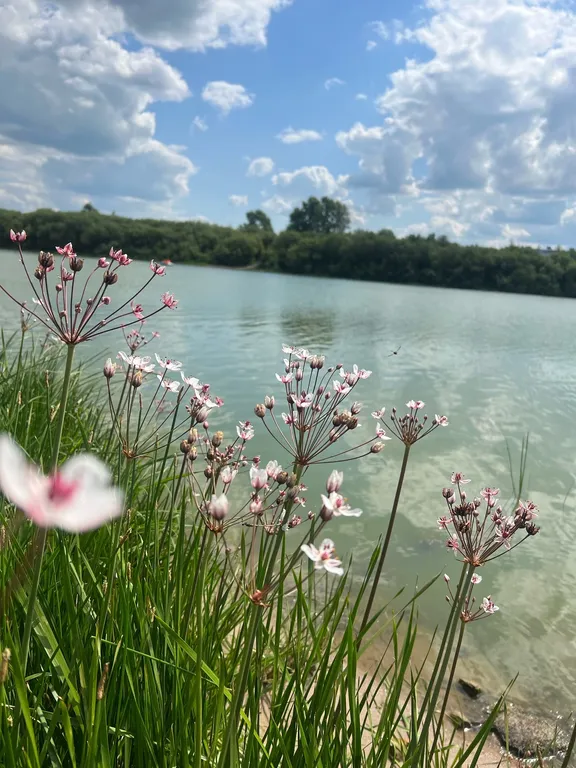 Уютная 1-комнатная квартира