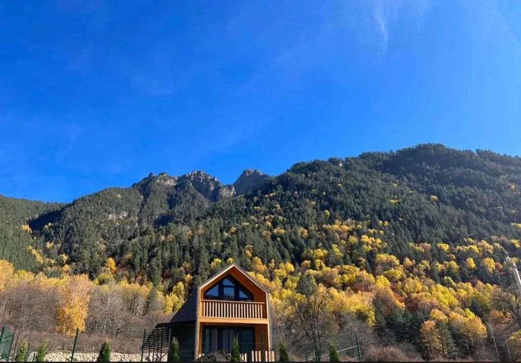 Коттедж Дом в лесу с видом на горы Барнхаус Барс — аренда посуточно в Теберда