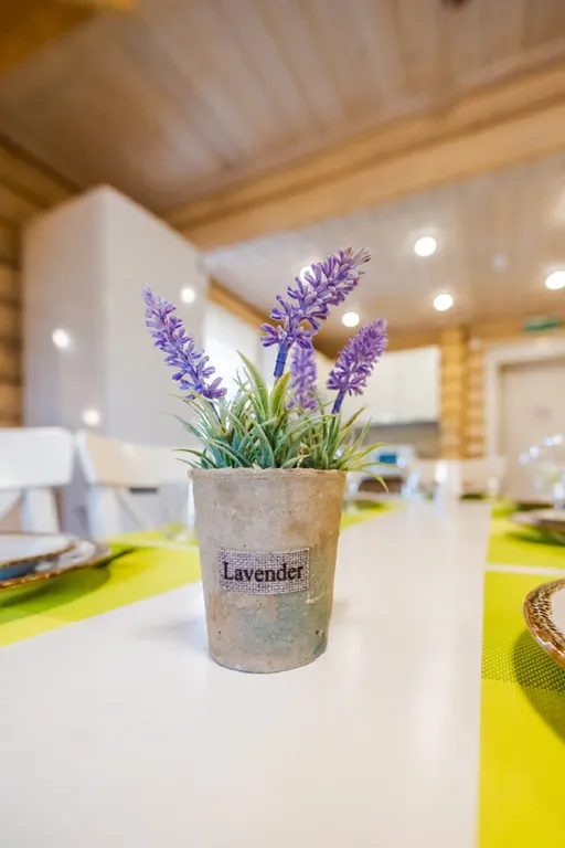 Уютные апартаменты 75 м² c 3-мя спальнями в деревянном доме