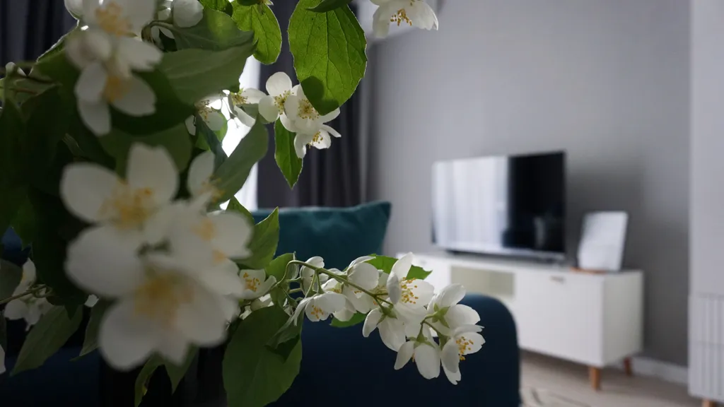 Квартира премиум-класса в новом ЖК