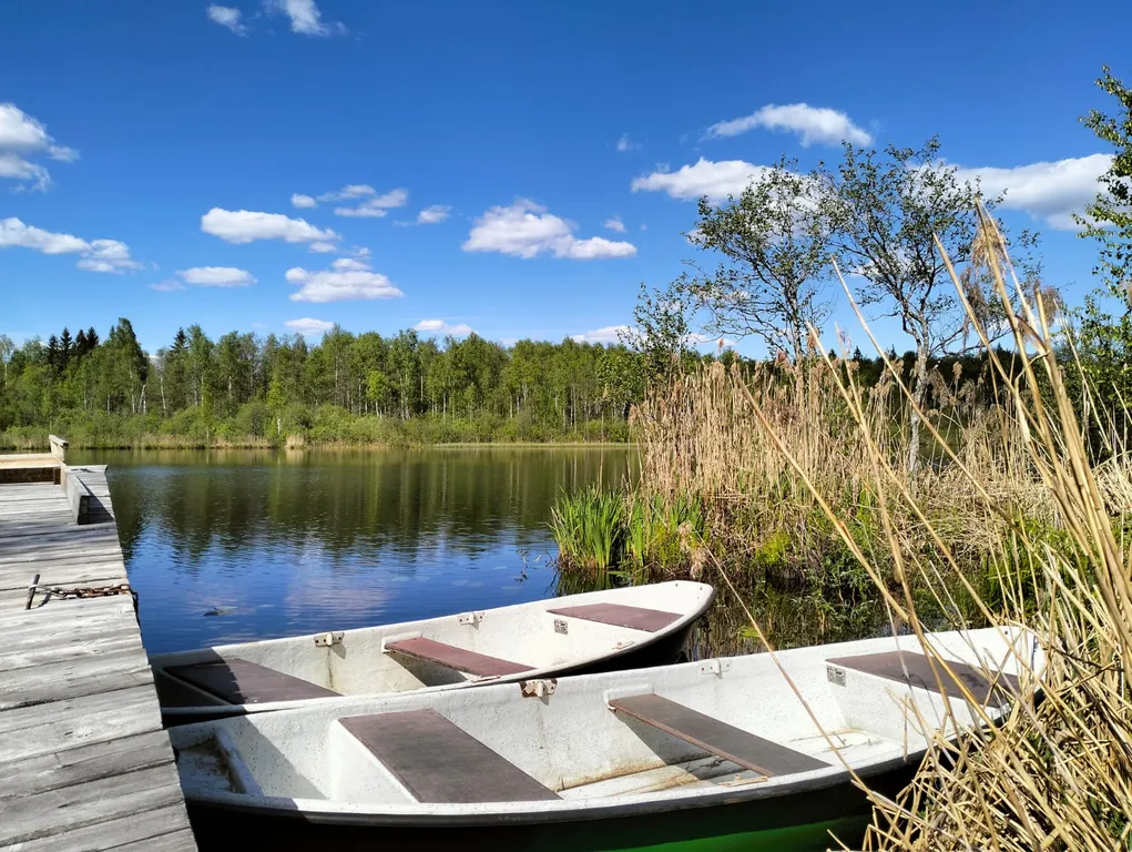 Коттедж Валдай Дальняя Дача — аренда посуточно в Валдай