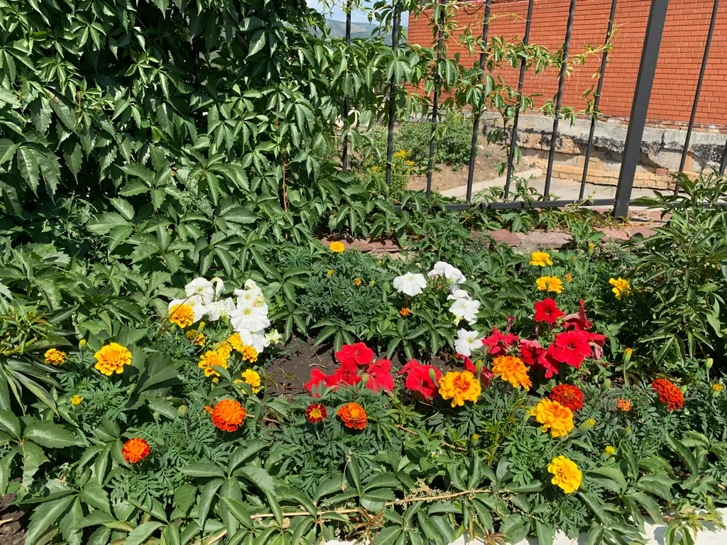 Банное Алтынaй