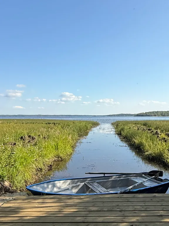 Гостевой домик в лесу