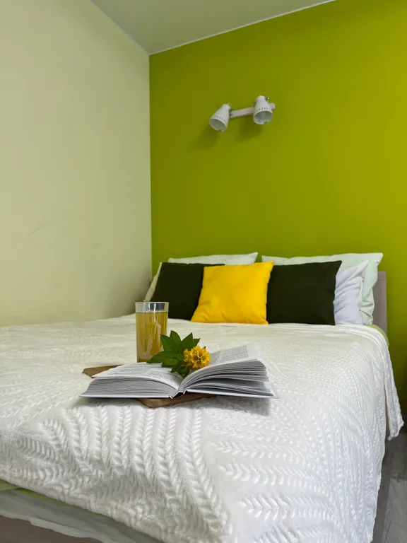 Квартира Квартира Уютная студия цитрус — Великий Новгород