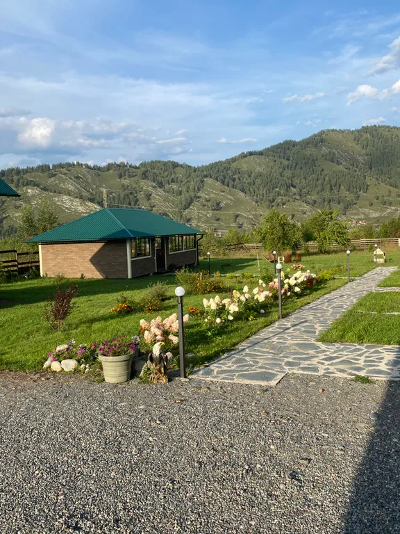 Дыхание гор