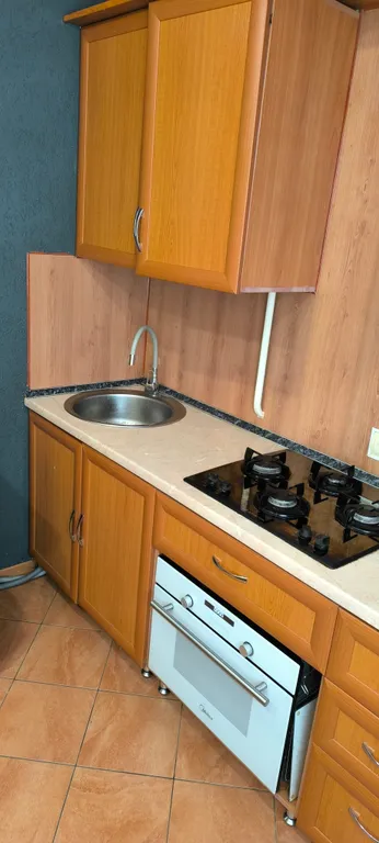 Трёхкомнатная квартира возле Звездного