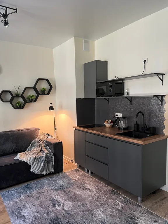 Квартира Студия в стиле Лофт в ЖК Пригород Лесное — Мисайлово