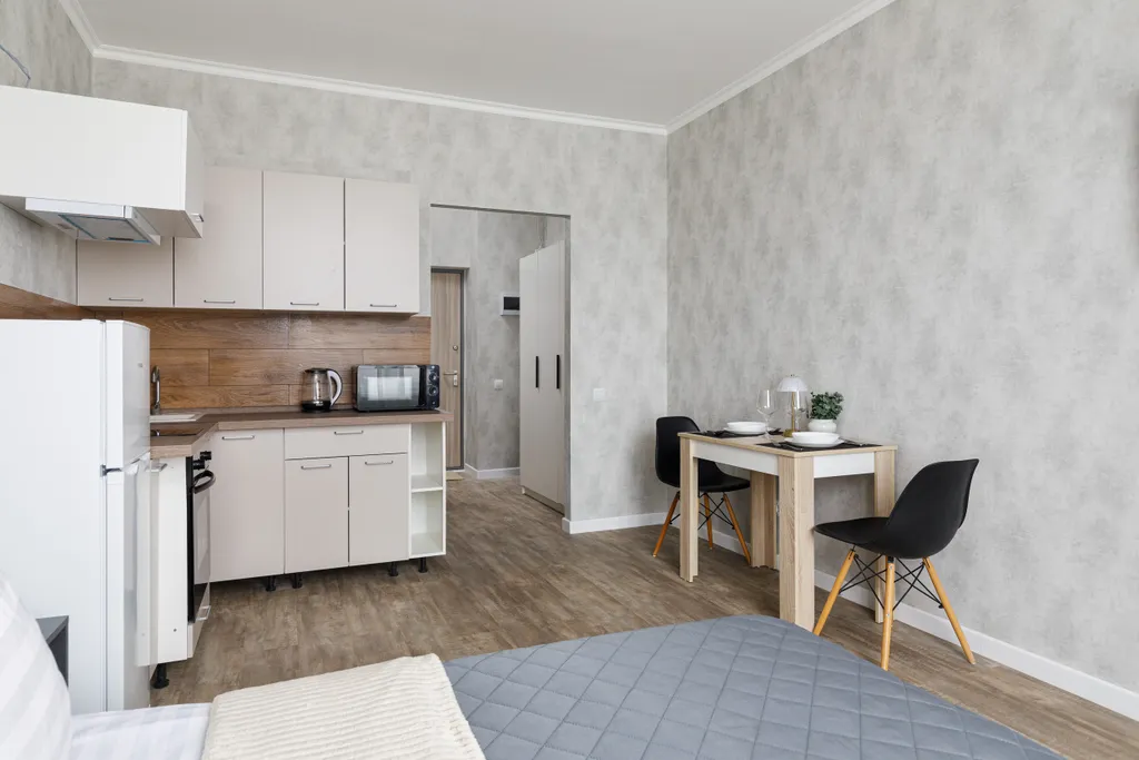 Современная студия рядом с Шереметьево