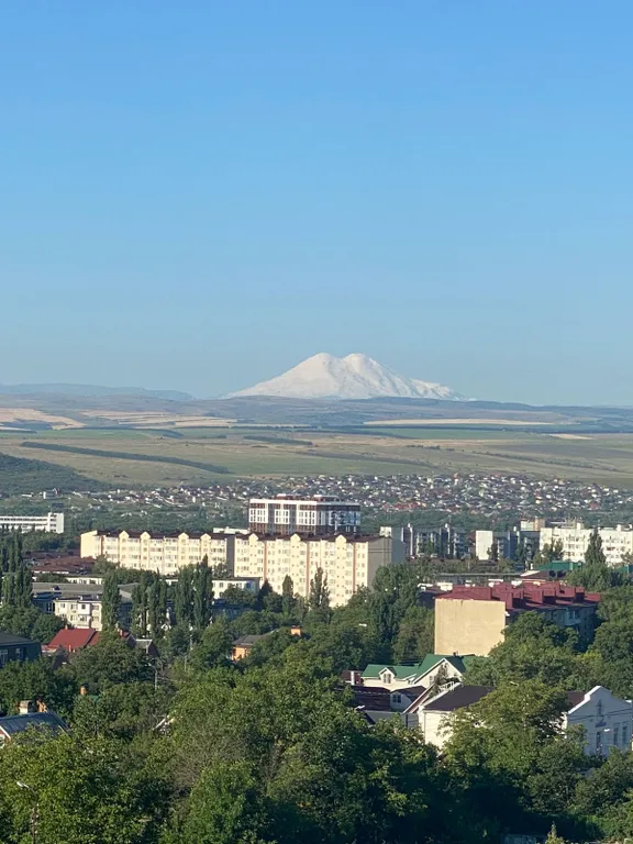 Видовая квартира с балконом в ЖК Престижный