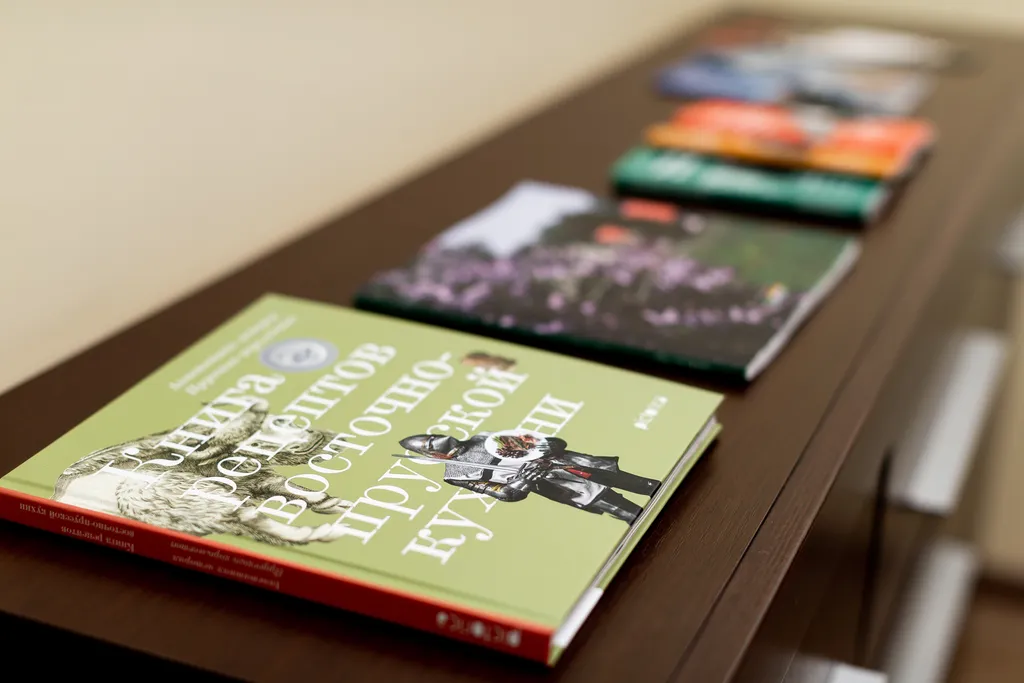 Квартира Уютная квартира недалеко от острова Канта — Калининград