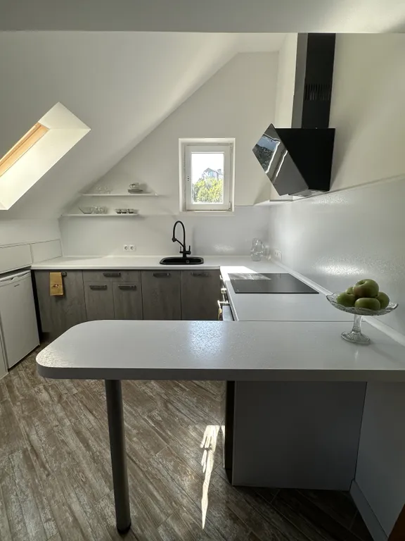 Мансардный этаж частного дома с большой террасой