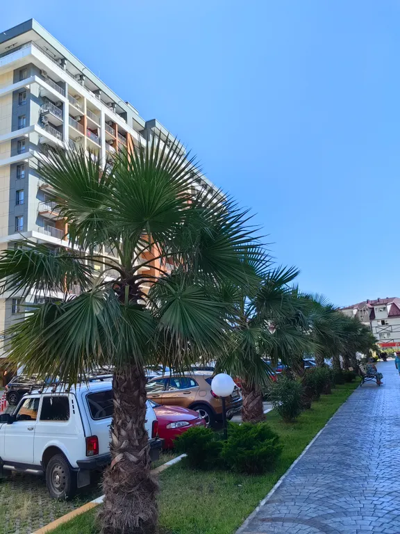 Квартира у моря Каравелла Португалии