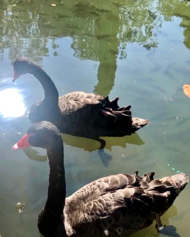 Квартира Квартира Уютный апартамент с камином у моря — Сириус