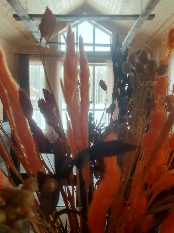 Дом на берегу