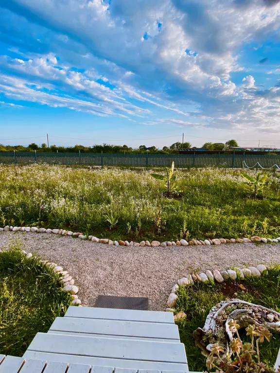 Роза Ветров