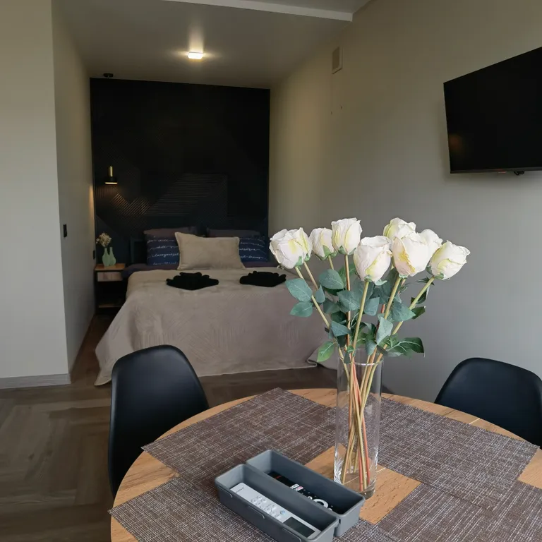 Студия Эко с кондиционером в самом центре