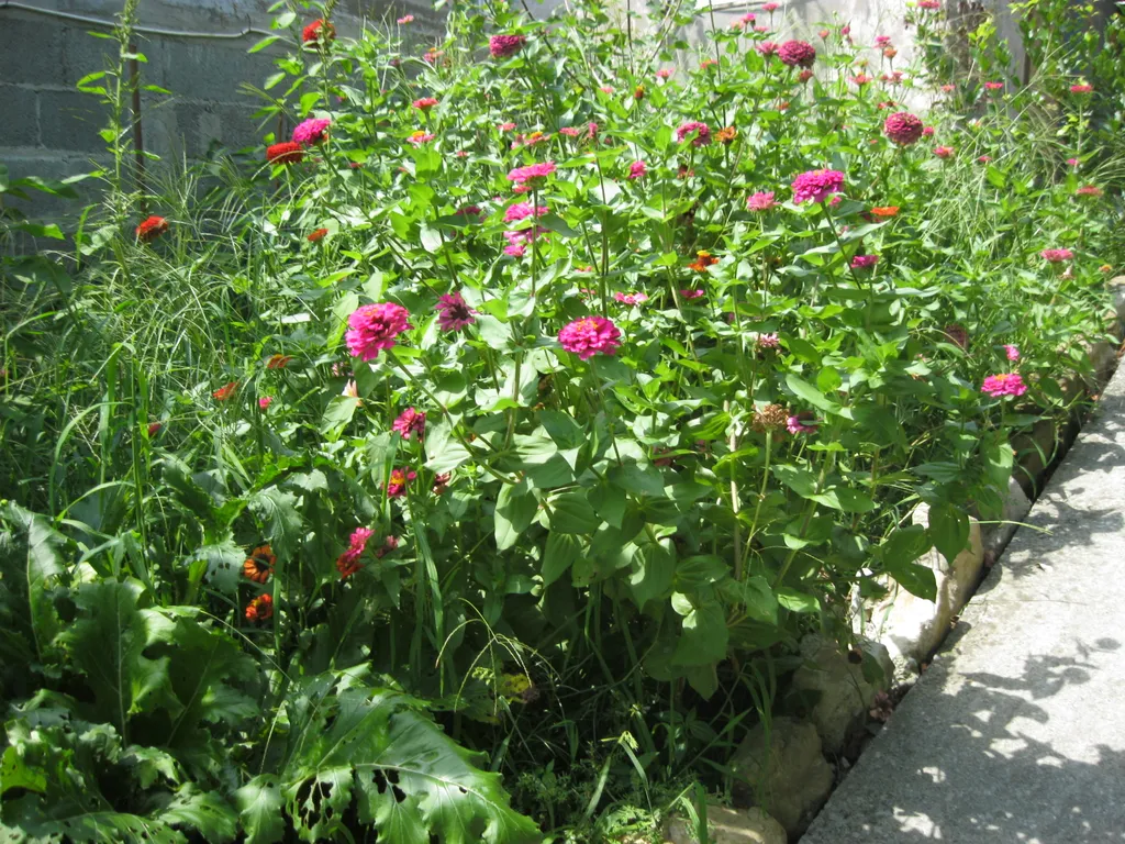 Уютное бунгало с видом на море