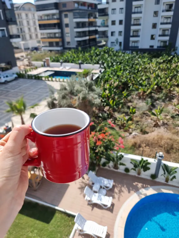 Новая бутик-резиденция на берегу моря в сентябре и октябре