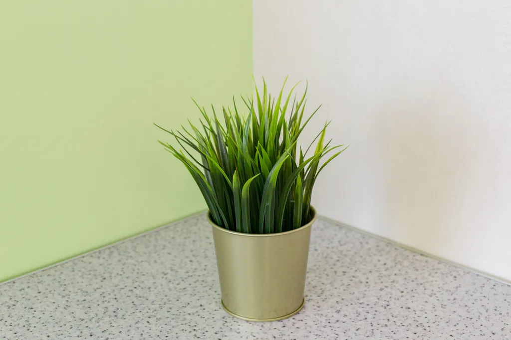 Красивая квартира в удобном районе