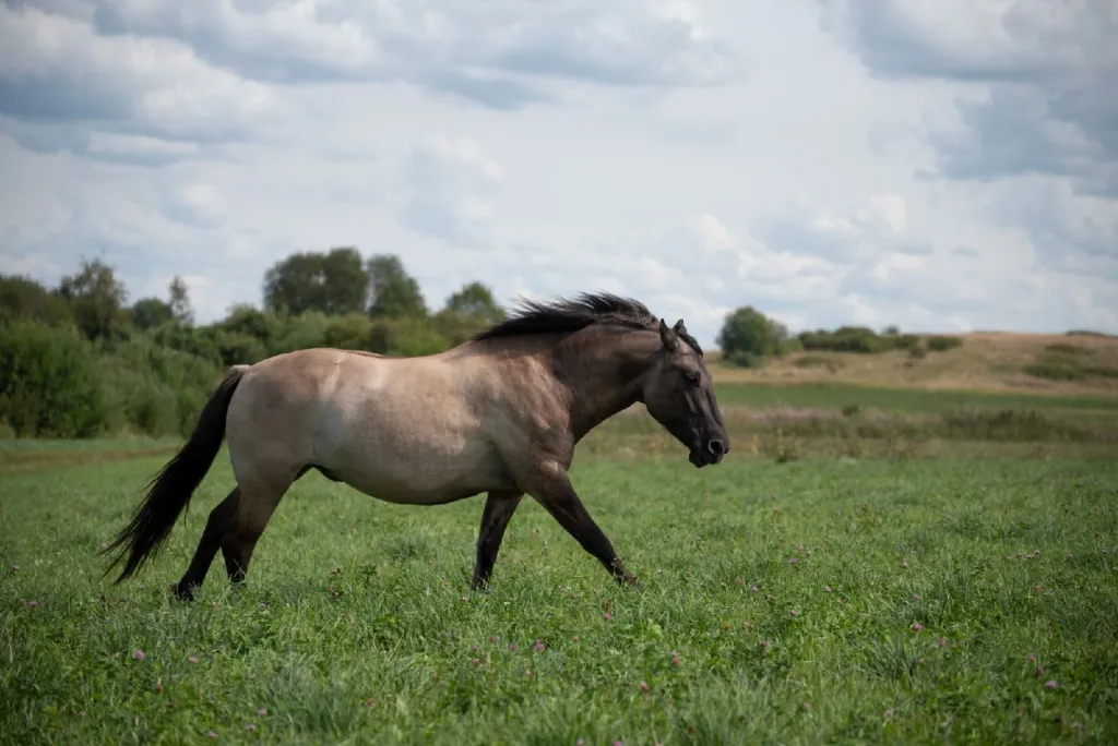 Дом для семейного отдыха