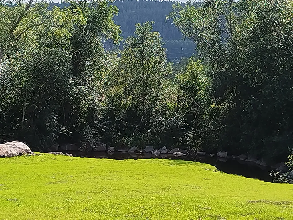 Дом у ручья Петрозаводск