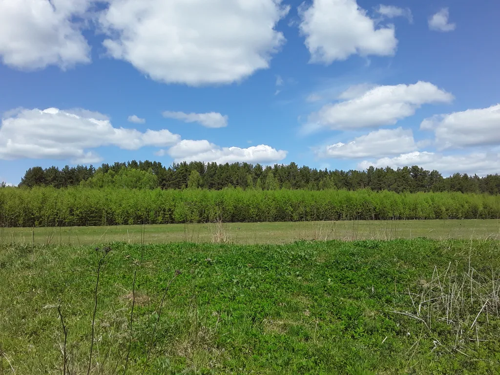 Дом на берегу Волги в красивом тихом и уединенном месте