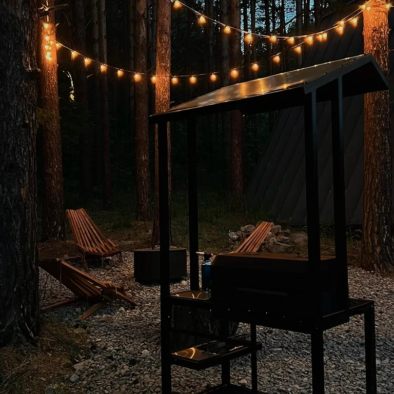 Дом с купелью и камином