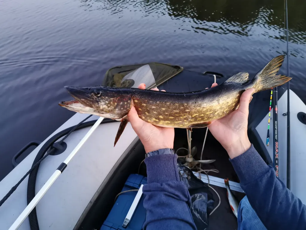 Коттедж Гостевой дом Березово 17 — Березово