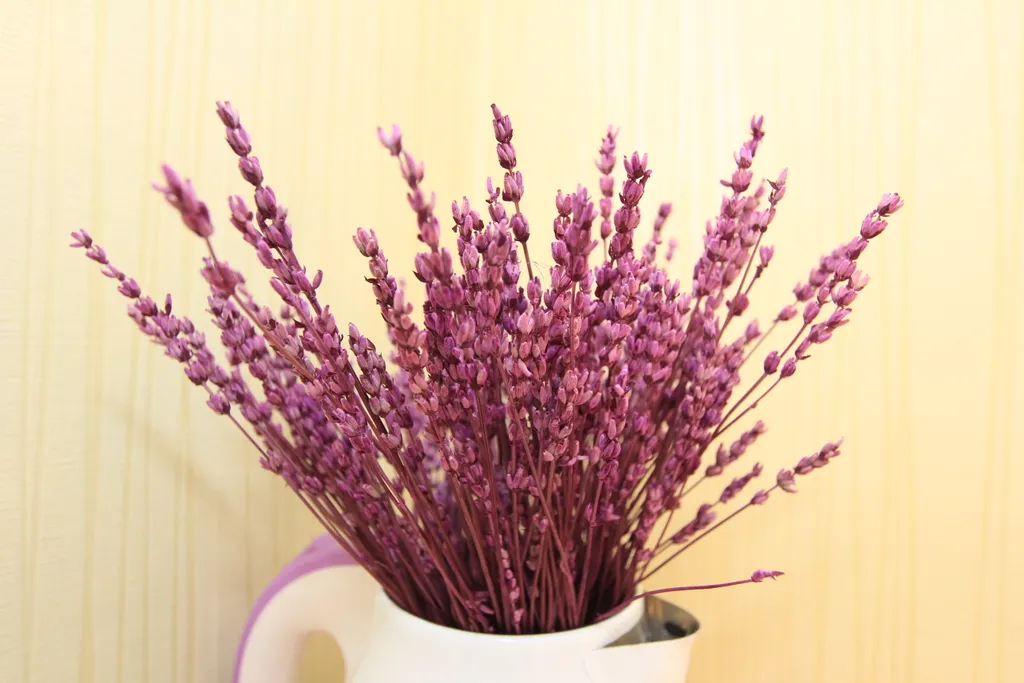 Уютные современные апартаменты у метро+Отчетность