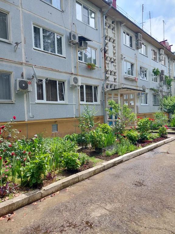 2-комнатная Квартира — аренда посуточно в Сочи