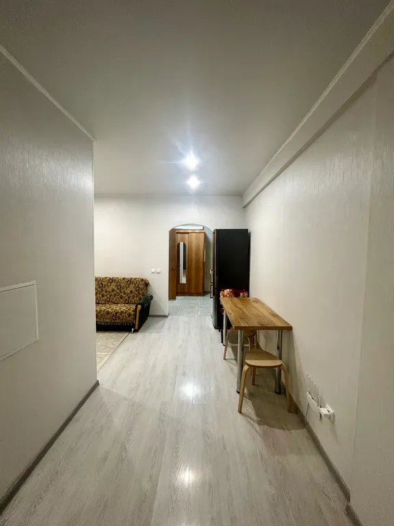 Просторная студия у парка