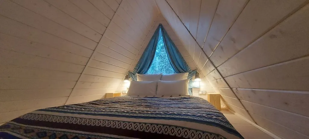 Дом Hamster в хвойном лесу у Большой воды