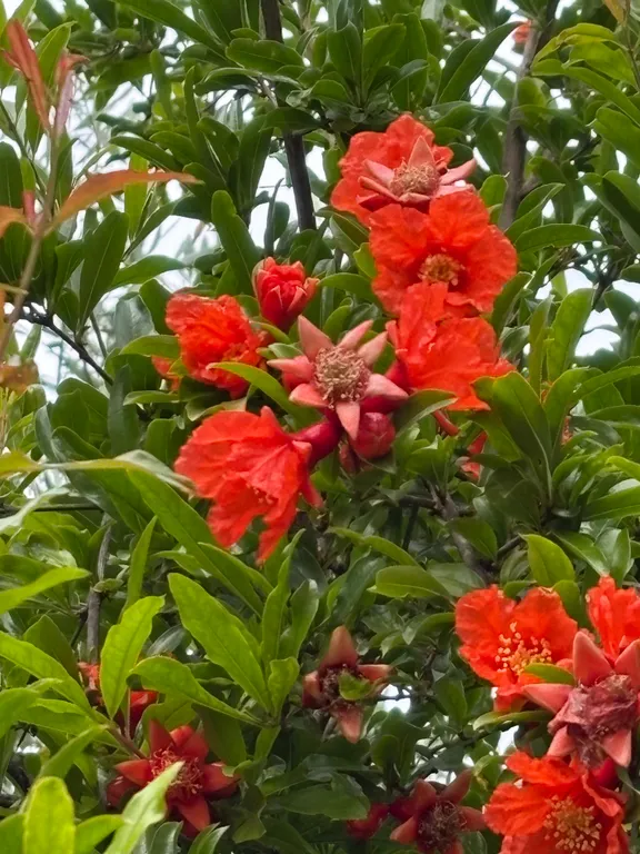 Квартира Делюкс комната с удобствами в лучшем районе Сириуса — Сириус