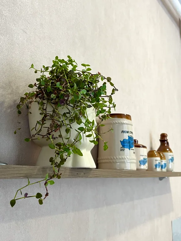 Студия Волна