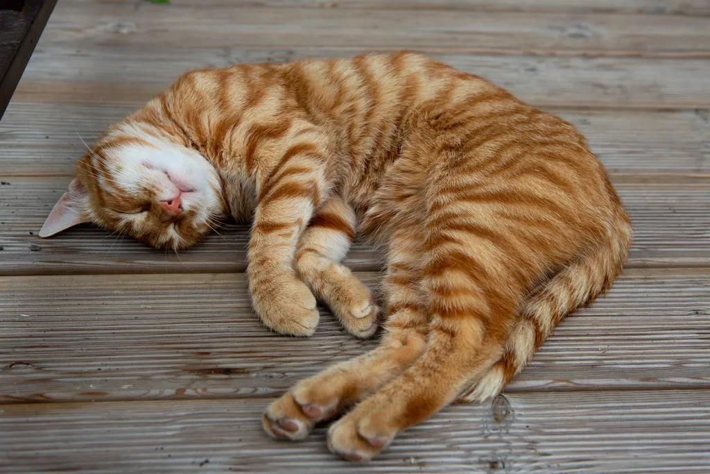 5-комнатный Дом