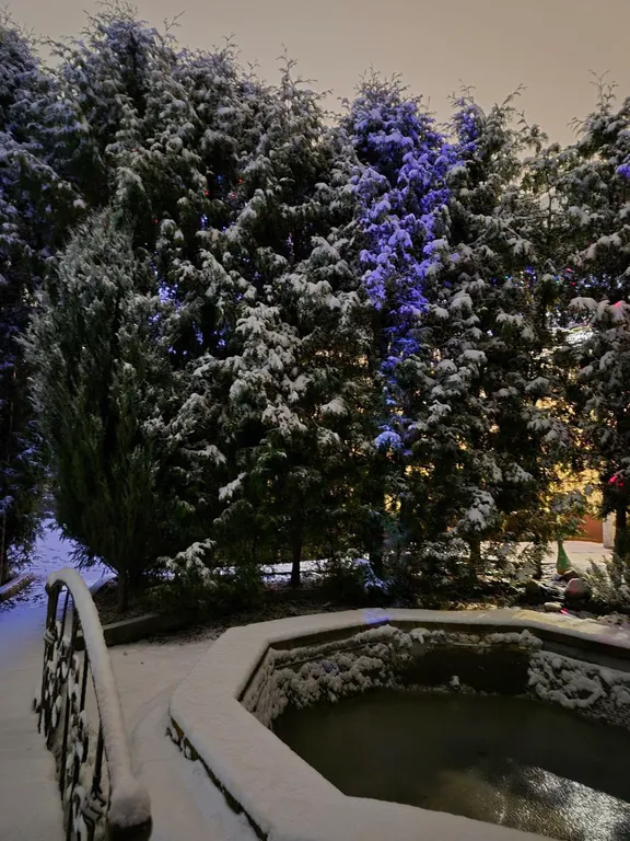 Коттедж Под липой