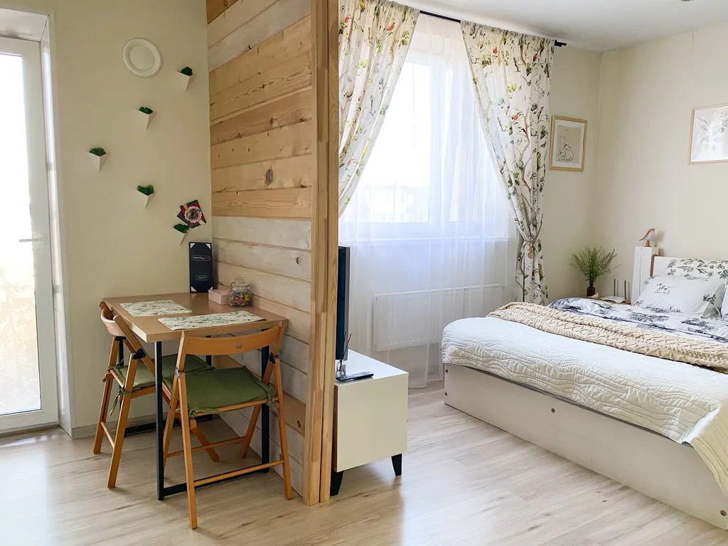 Студия у Онежского озера