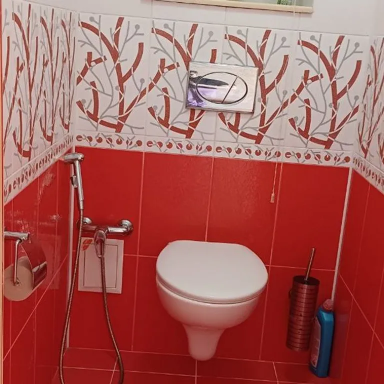 Трёхкомнатная квартира RichHouse на Новосёлов 8