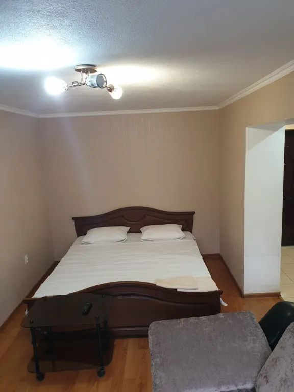 Квартира в центре города на набережной, поездки в горы — аренда посуточно в Владикавказ