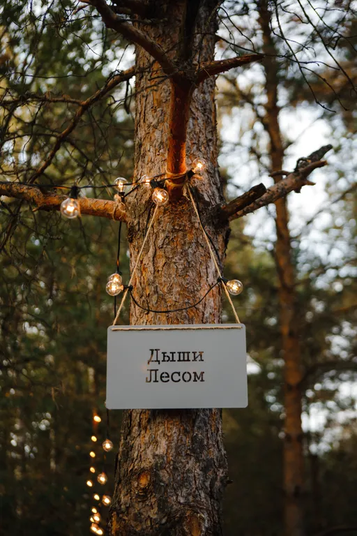 Дом Скандинавия Лес