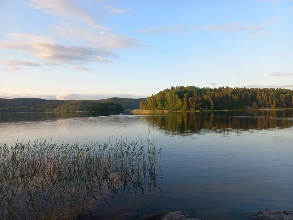 Купол сфера с панорамным видом