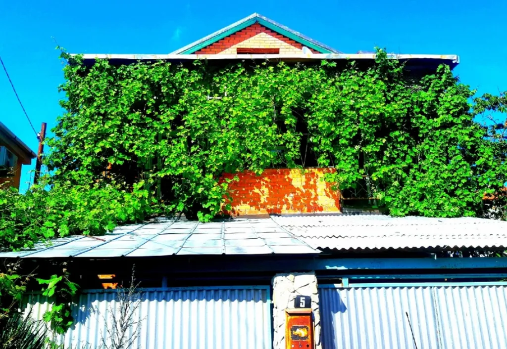 Большой дом для большой компании