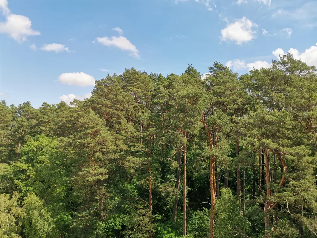 Дизайн студия у Софьи